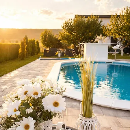 Vila Relax With Pool Bihac
